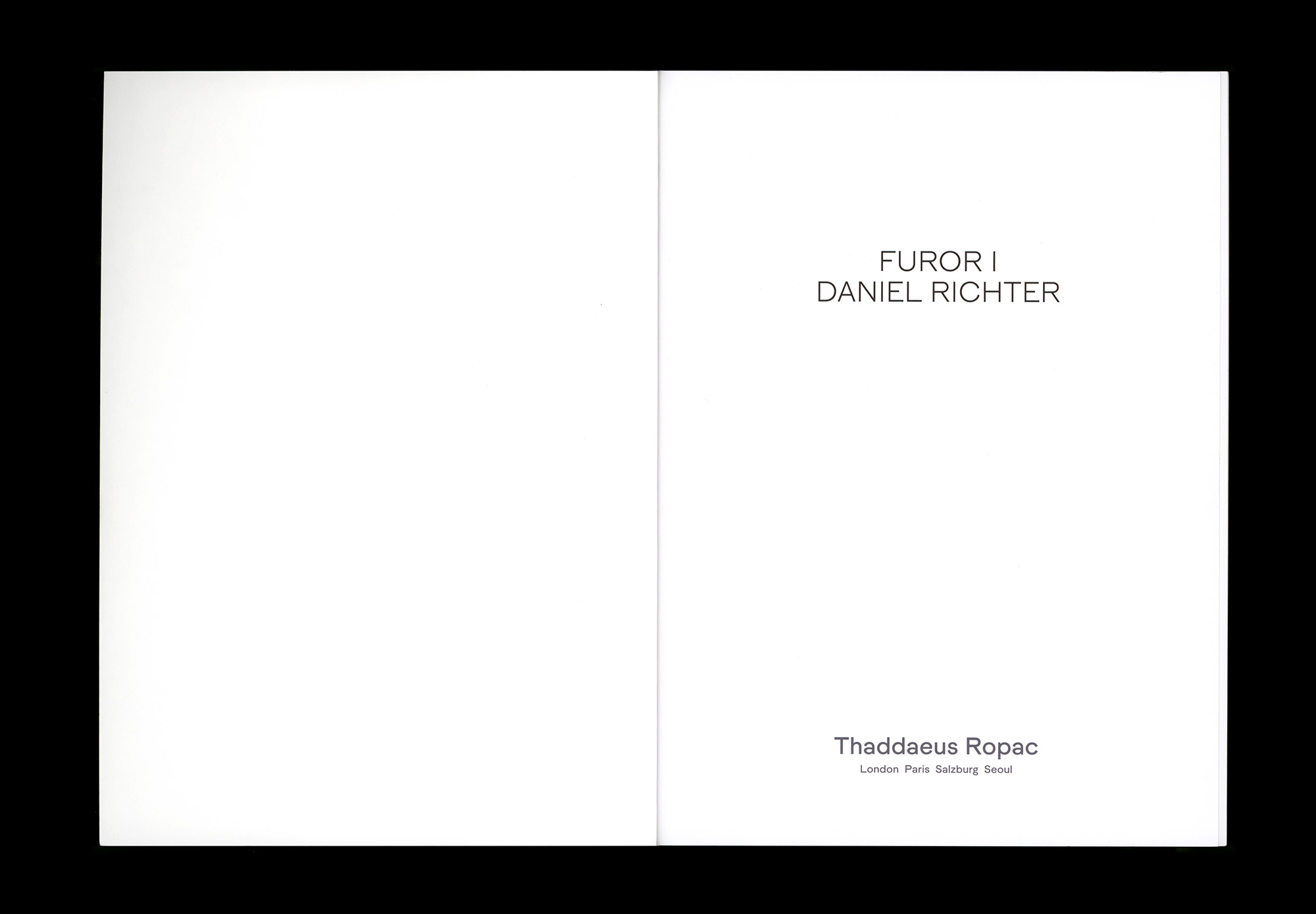 Daniel Richter FUROR I