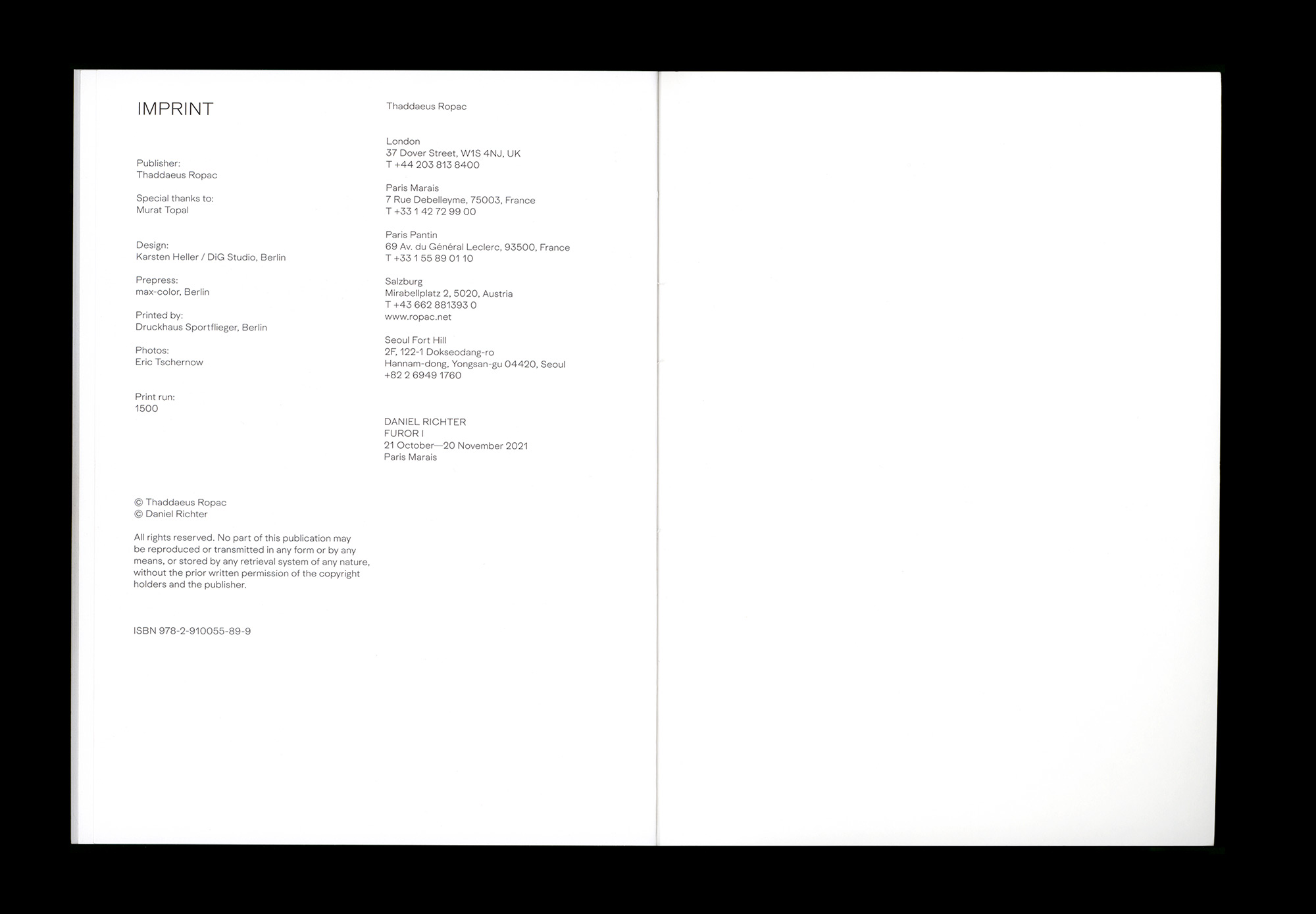 Daniel Richter FUROR I