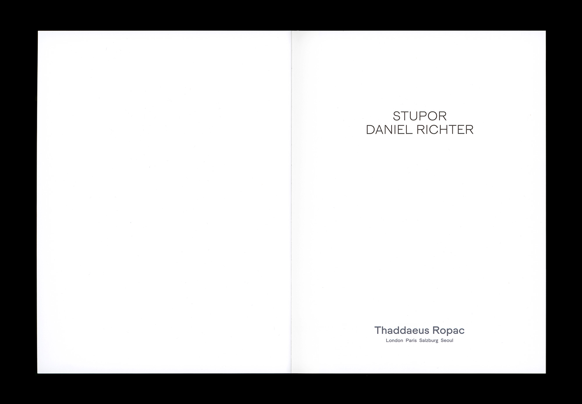 Daniel Richter STUPOR