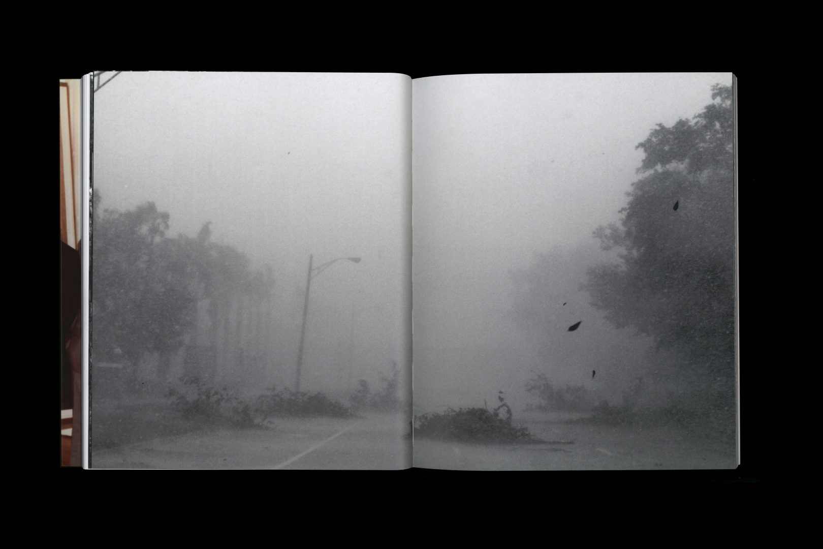 Julius von Bismarck – TALKING TO THUNDER