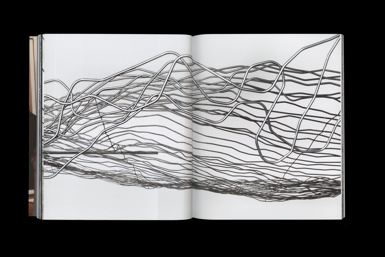 Julius von Bismarck – TALKING TO THUNDER