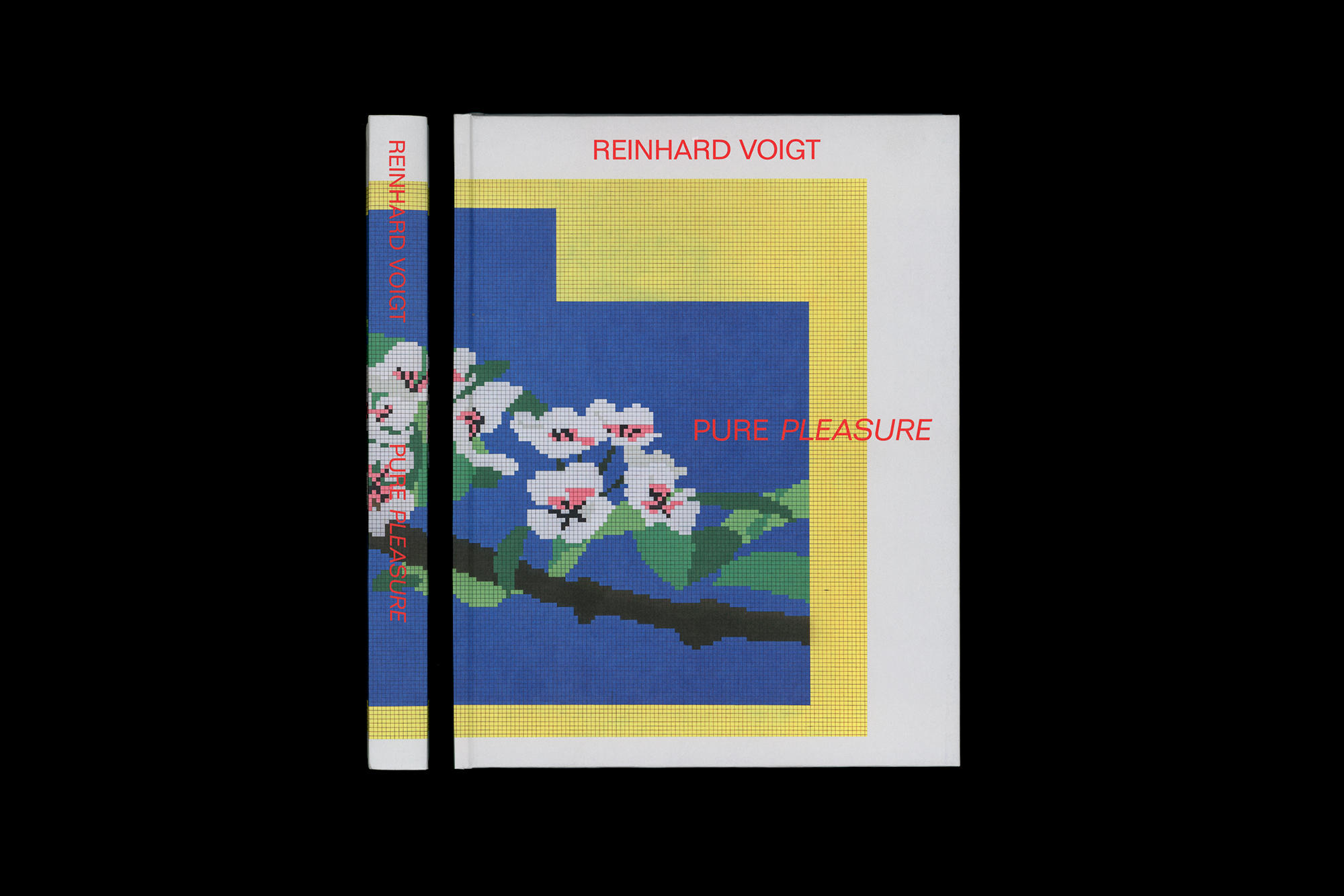 Reinhard Voigt PURE PLEASURE
